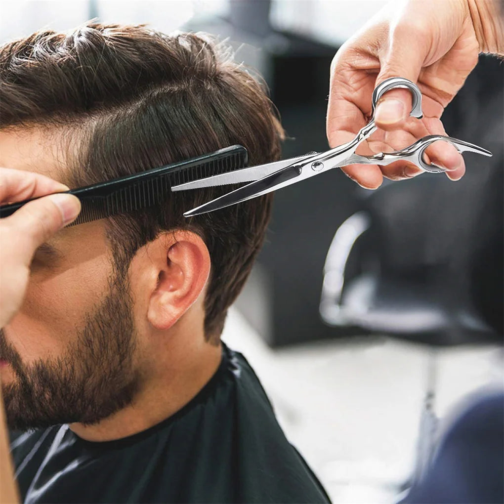 Hair Cutting Scissors Set 6 Inch Hairdressing Thinning Shears for Women Men and Kids Silver