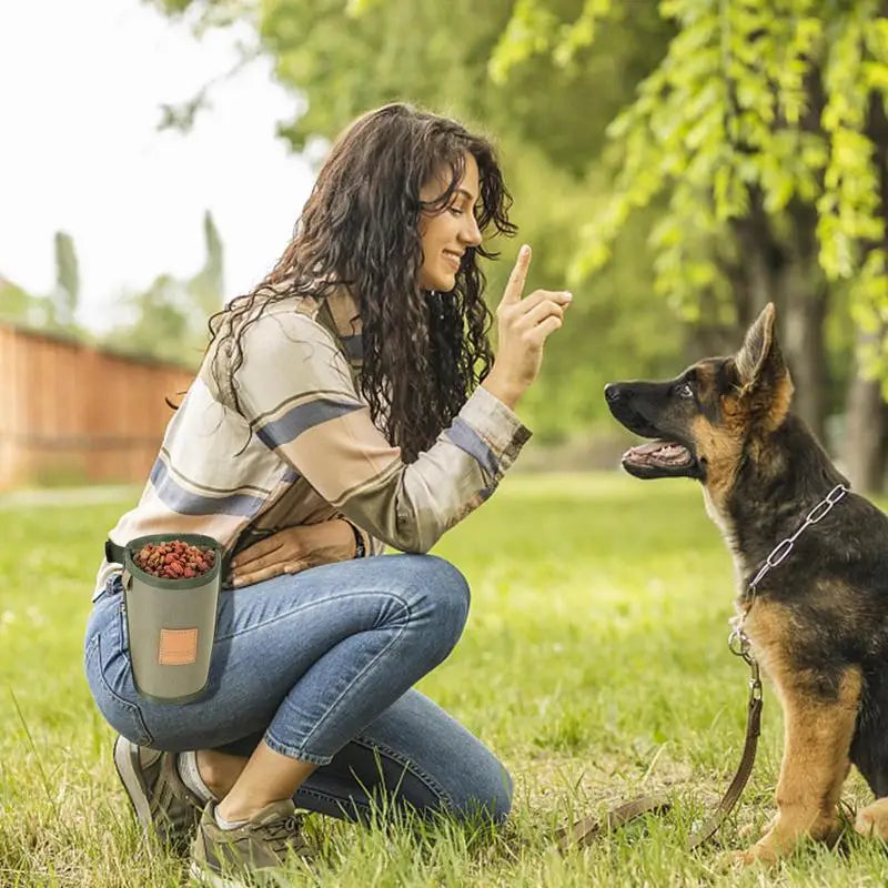 Portable Dog Treat Bag Large Capacity Waist Bag for Training