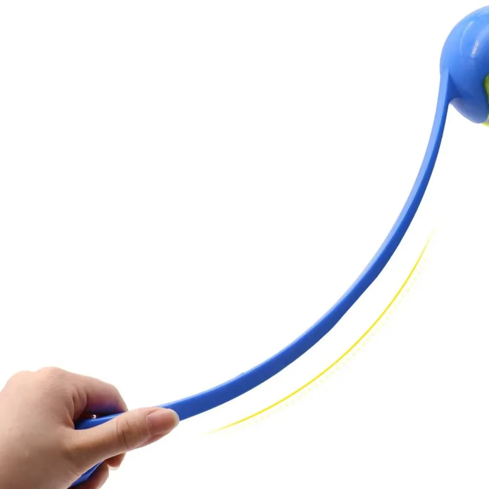 Pet Throwing Stick Interactive Toy for Dogs and Cats Training Supplies