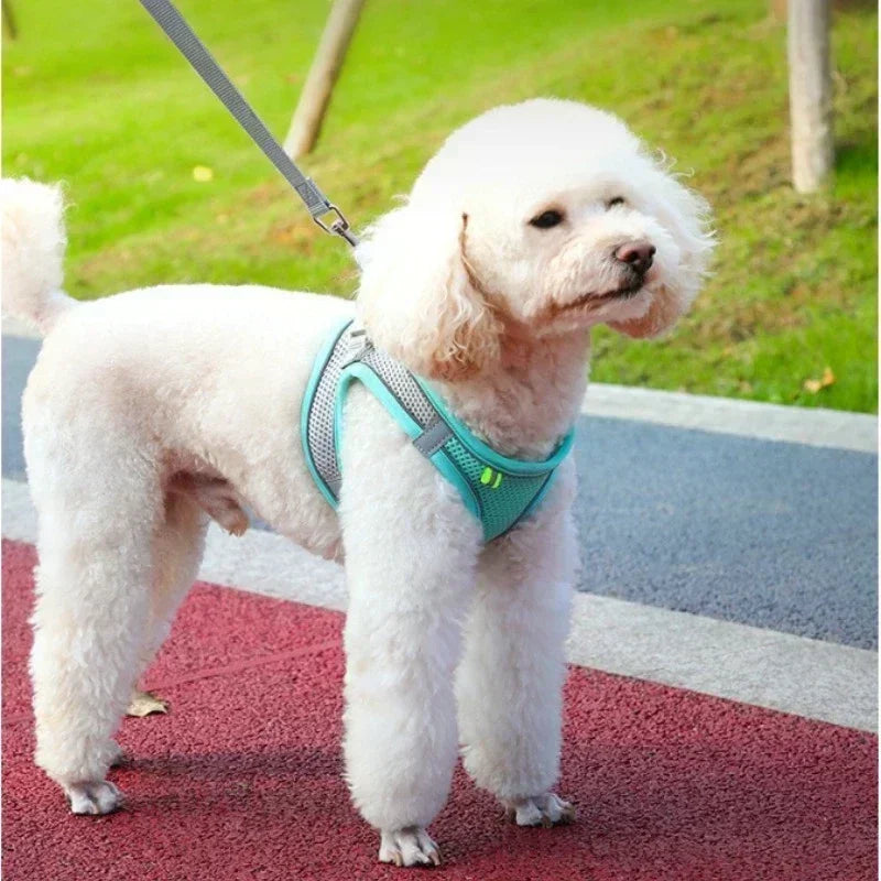 Vest Walking Traction Rope Cat Harness with Reflective Strip