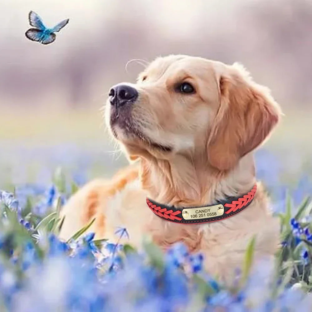 Personalized Dog Collar Leather Padded Braided Collars Free Engraving Pet ID Tag for Small Medium Large Dogs