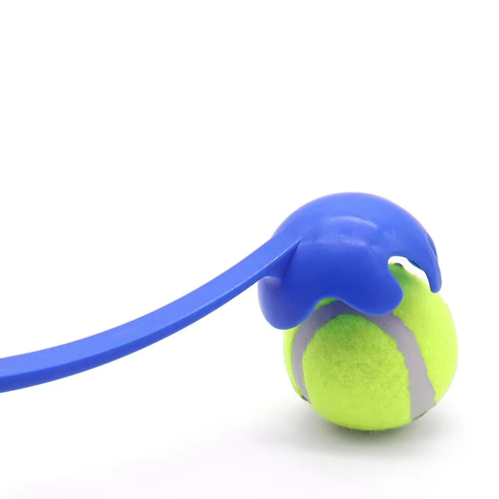 Pet Throwing Stick Interactive Toy for Dogs and Cats Training Supplies