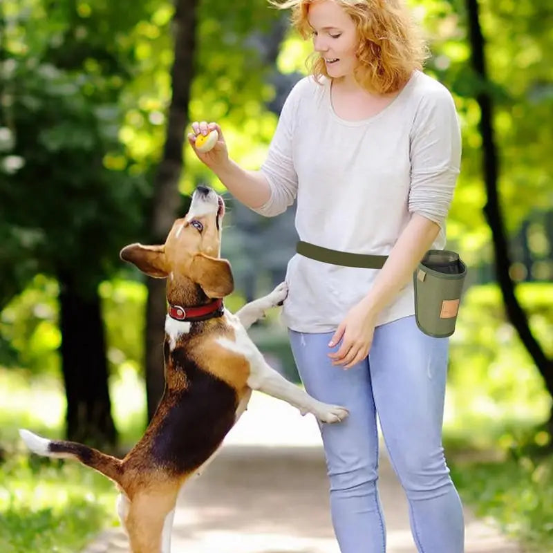 Portable Dog Treat Bag Large Capacity Waist Bag for Training