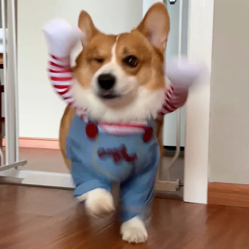 Funny Dog Horror Movie Sweatshirt Set Cosplay Chucky Outfit