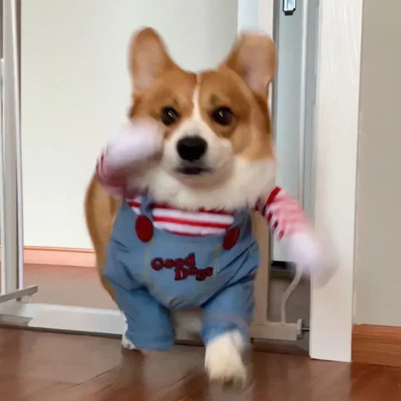 Funny Dog Horror Movie Sweatshirt Set Cosplay Chucky Outfit