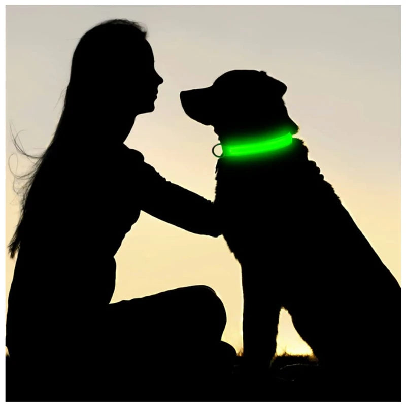 3 Modes Dog Luminous Charge Collar Led Usb Cat Dogs Collars