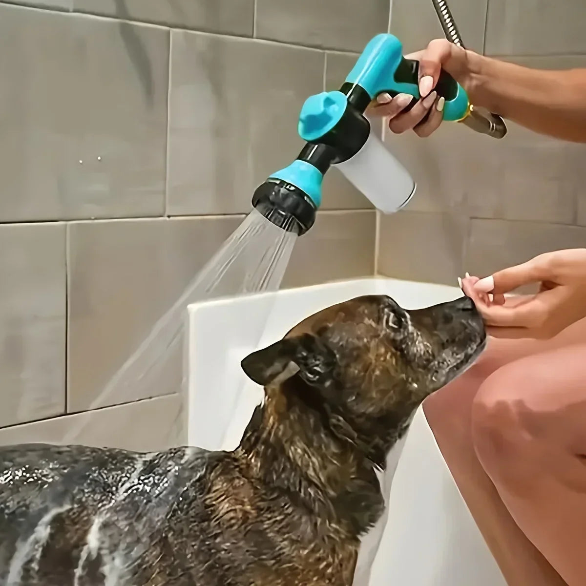 5pcs Pet Grooming Tool Set For Easy Dog Bathing