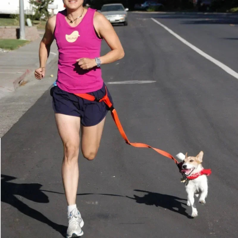 Chest Hands 1PC Belt Traction Walking Pet Lead Adjustable Leash