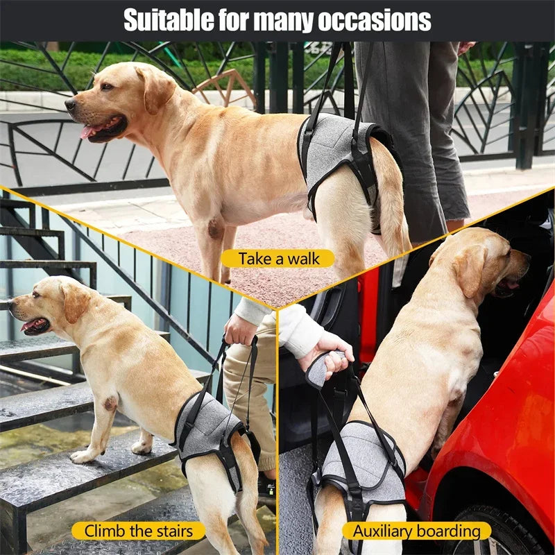 Adjustable Dog Sling Back Legs Support Harness for Dogs