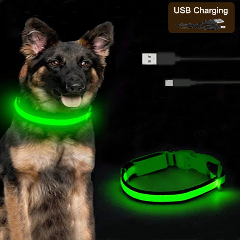 3 Modes Dog Luminous Charge Collar Led Usb Cat Dogs Collars
