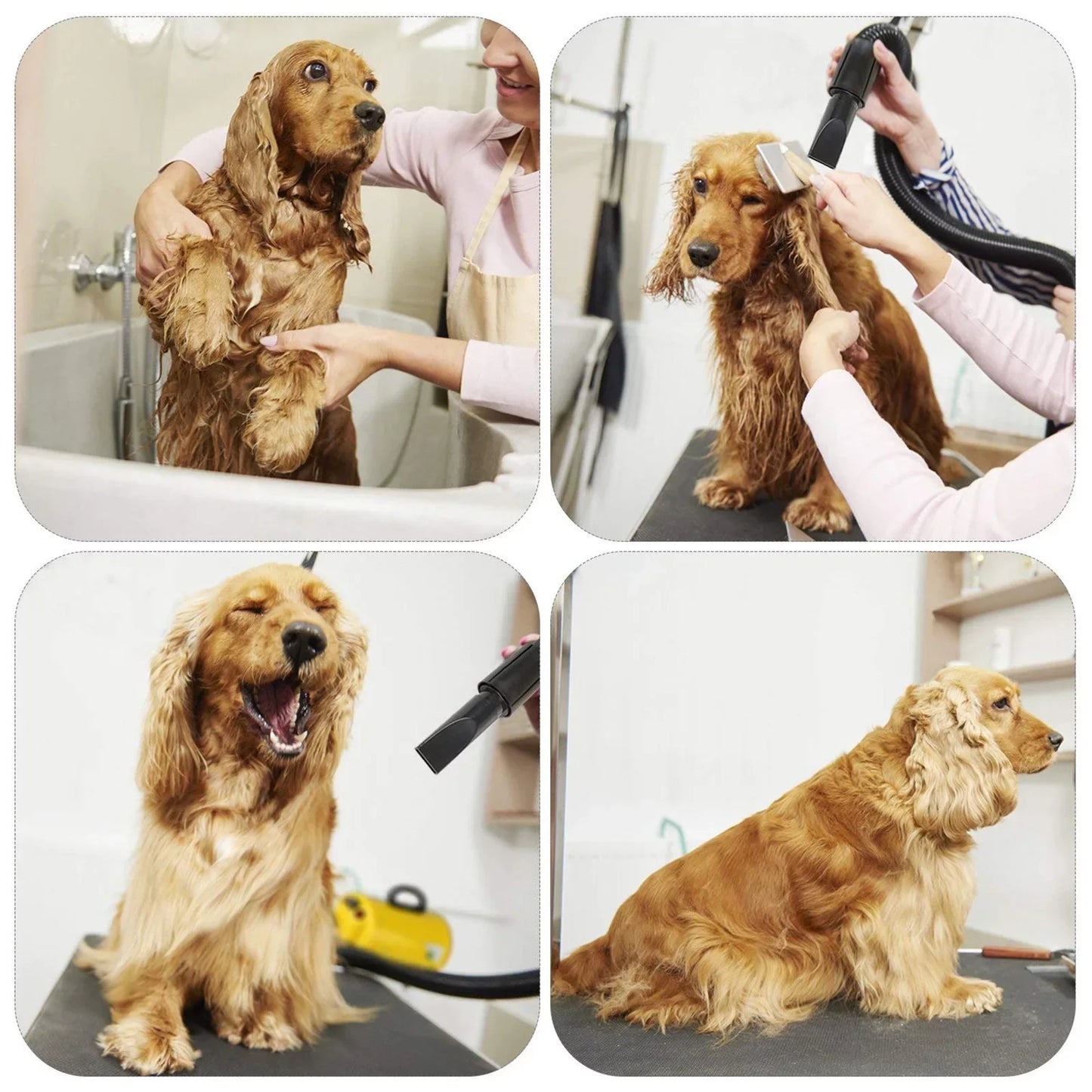 Dog Hair Dryer 3.8HP 2800W Pet Grooming Blower Heat
