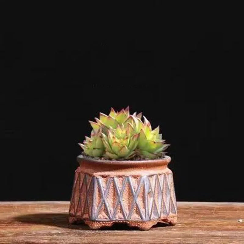 Ceramic Succulent Vase Planter Pot For Desktop Garden Decor Blue Pink Brown