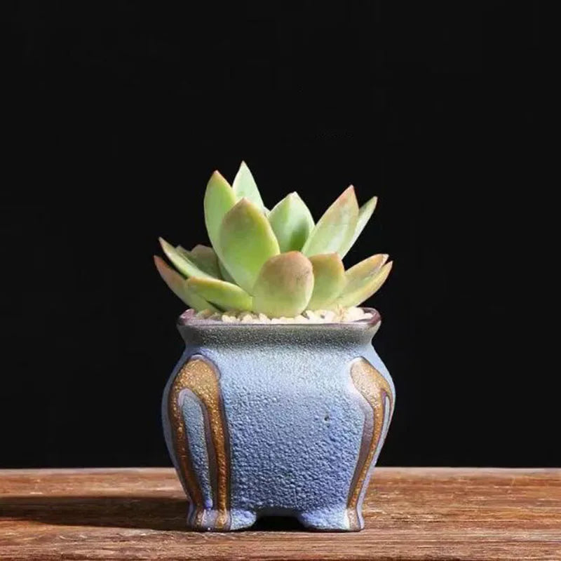 Ceramic Succulent Vase Planter Pot For Desktop Garden Decor Blue Pink Brown