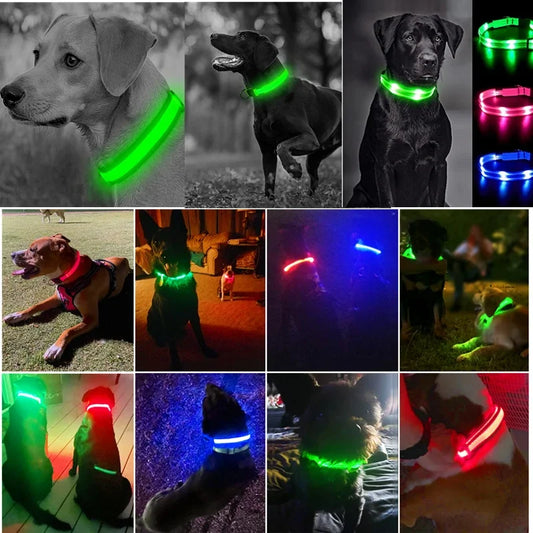 3 Modes Dog Luminous Charge Collar Led Usb Cat Dogs Collars