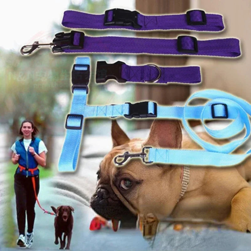 Chest Hands 1PC Belt Traction Walking Pet Lead Adjustable Leash