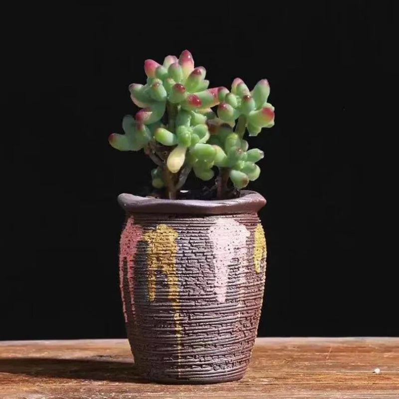 Ceramic Succulent Vase Planter Pot For Desktop Garden Decor Blue Pink Brown