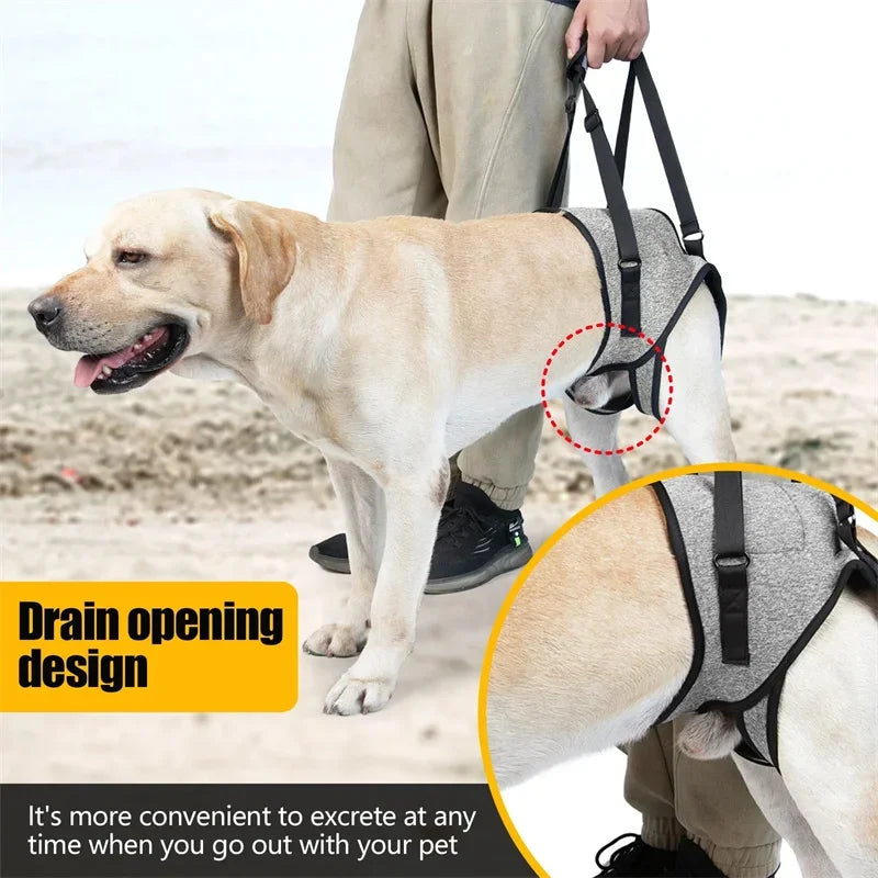 Adjustable Dog Sling Back Legs Support Harness for Dogs