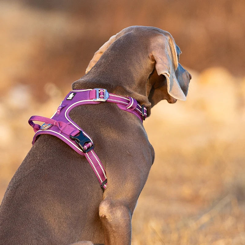 Winhyepet Training Dog Vest Reflective Nylon Harness for All Sizes