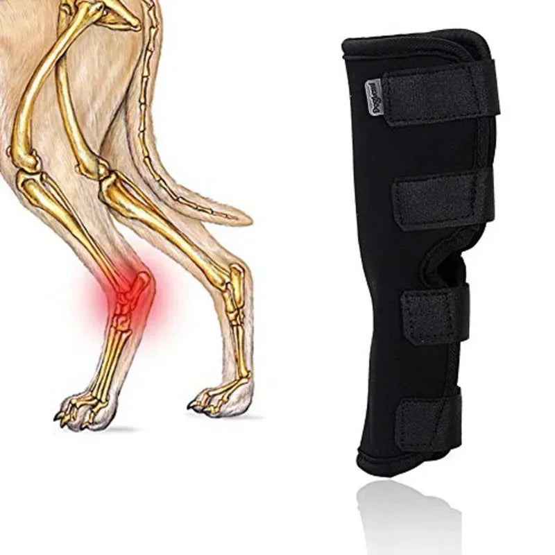 Pet Dog Bandages Knee Brace Strap Protection for Dogs