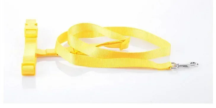 Chest Hands 1PC Belt Traction Walking Pet Lead Adjustable Leash