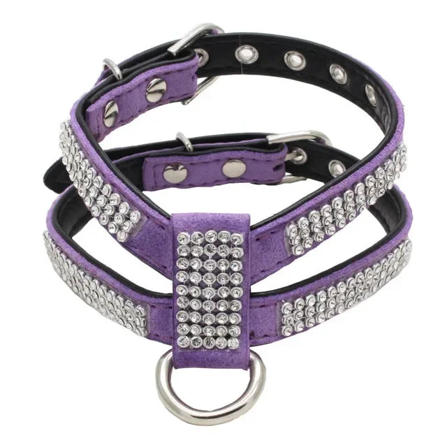 Dog Collar Adjustable Pet Products PU Leather Boy Collar