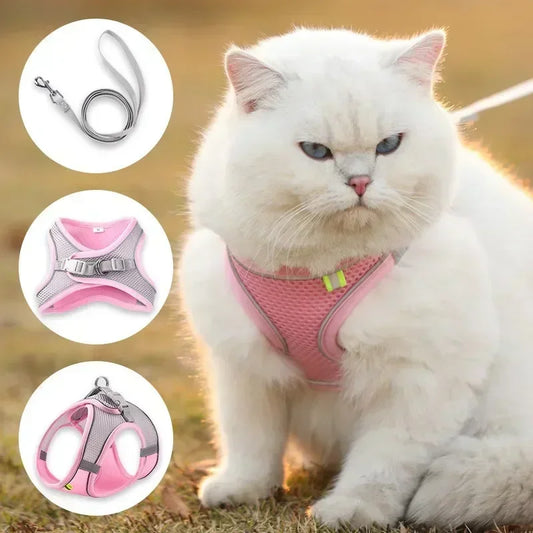 Vest Walking Traction Rope Cat Harness with Reflective Strip