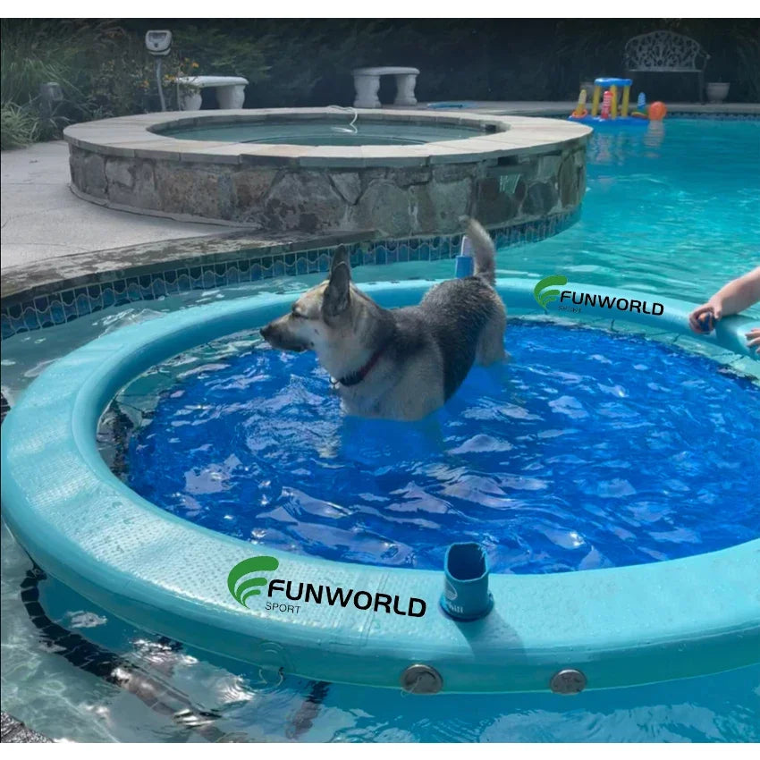 Funworldsport PVC Round Pool Inflatable Kids Summer Hammock