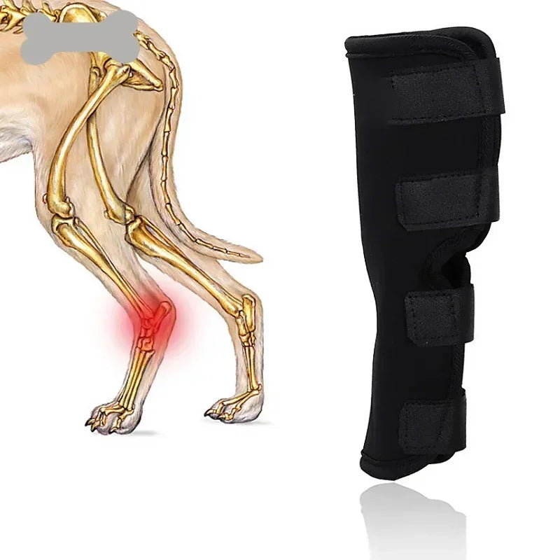 Pet Dog Bandages Knee Brace Strap Protection for Dogs