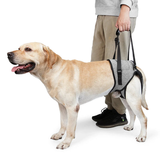Adjustable Dog Sling Back Legs Support Harness for Dogs