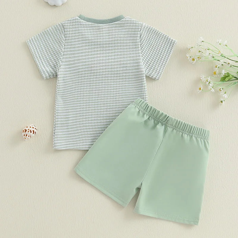 Infant Boy Outfit Set with Cute Animal Embroidery Tee and Stylish Plaid Shorts Summer 2 Piece Set