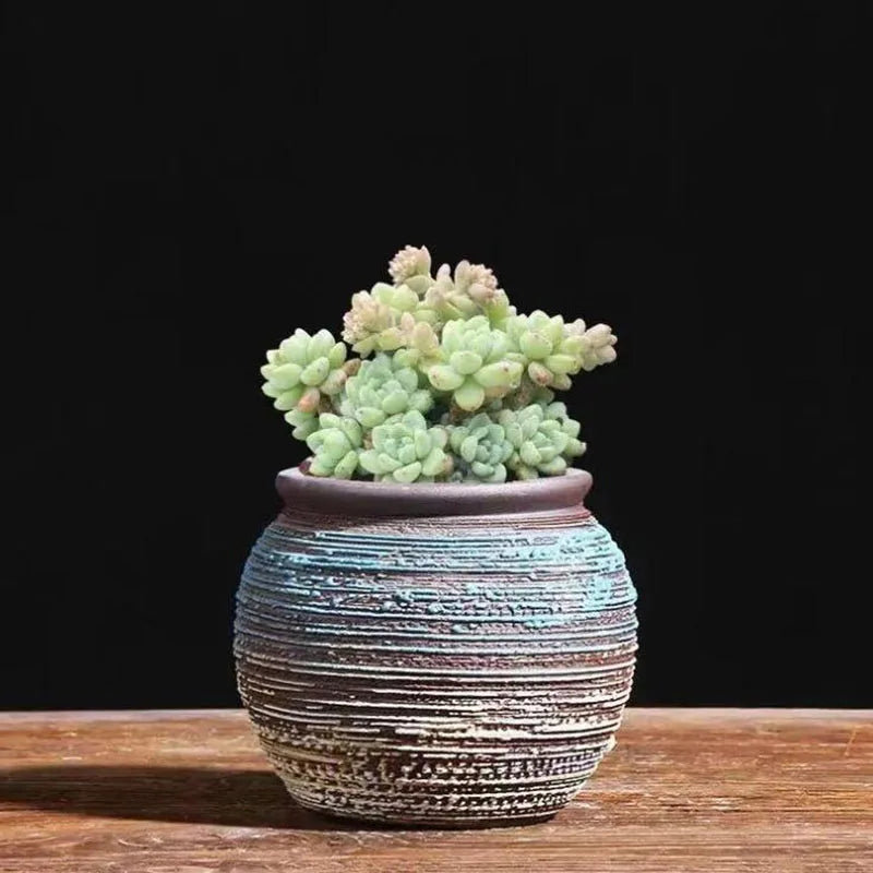 Ceramic Succulent Vase Planter Pot For Desktop Garden Decor Blue Pink Brown