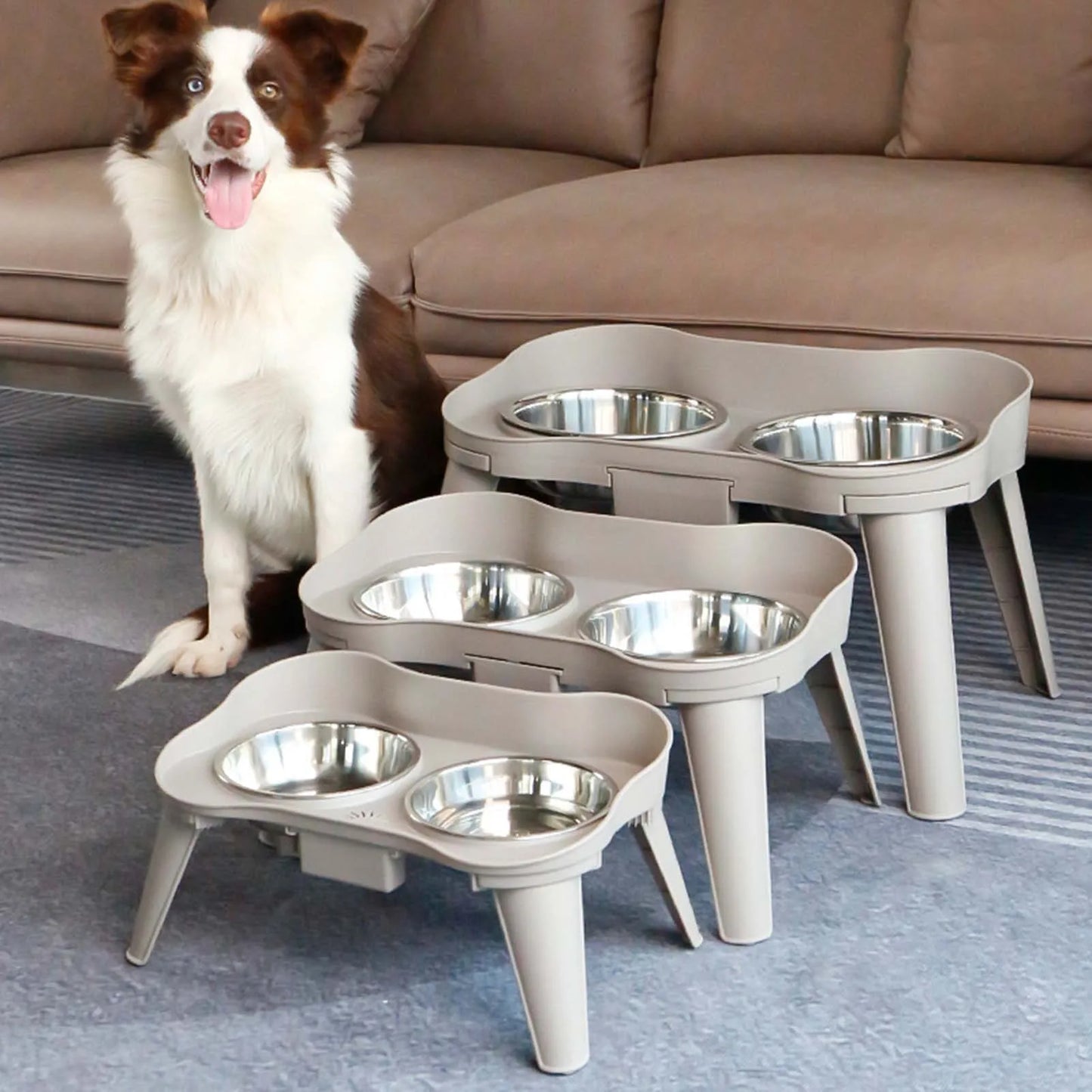 Raised Stand Elevated Dog Feeder Non-Slip No Spill Design Bowl
