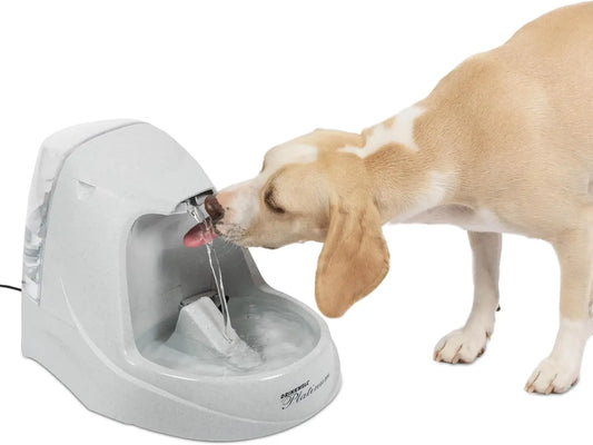 PetSafe Drinkwell Platinum Cat Water Fountain 168 oz 5L