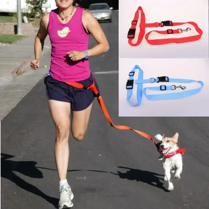 Chest Hands 1PC Belt Traction Walking Pet Lead Adjustable Leash