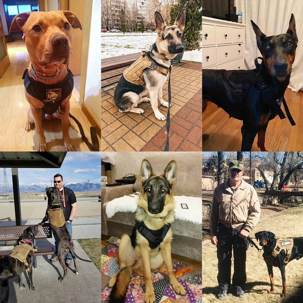 Tactical Dog Harness Leash Metal Buckle MOLLE Vest K9 Training